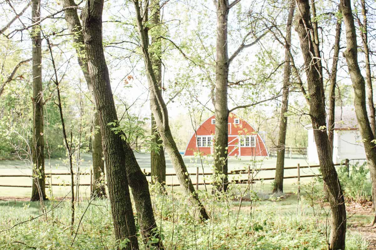 A farm in Portage la Prairie