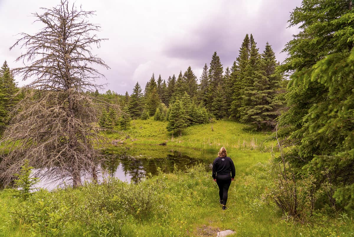 arrowhead mountain bike trails