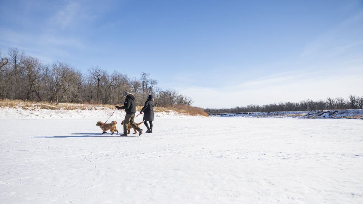 Beaudry Provincial Park