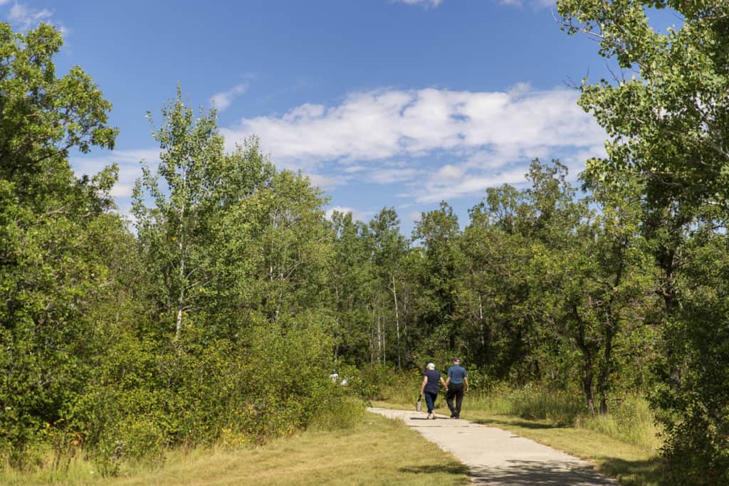 Manitoba hiking trails - Birds Hill Park