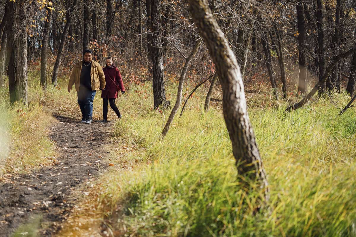 Manitoba hiking trails - Bois Des Esprits