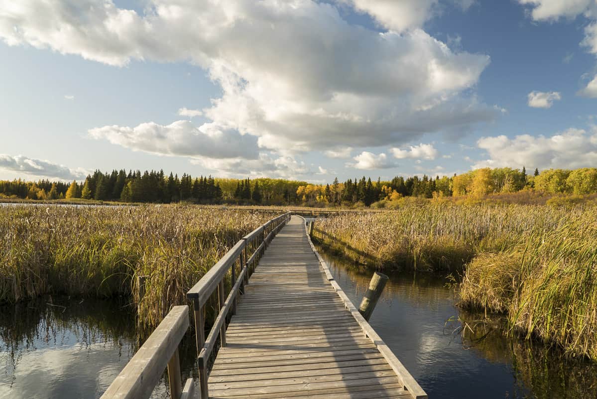 Boreal Interpretive Trail