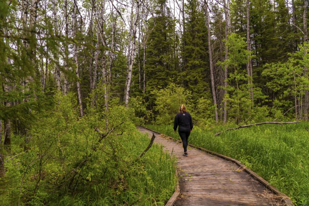 Brule Trail in Riding Mountain National Park