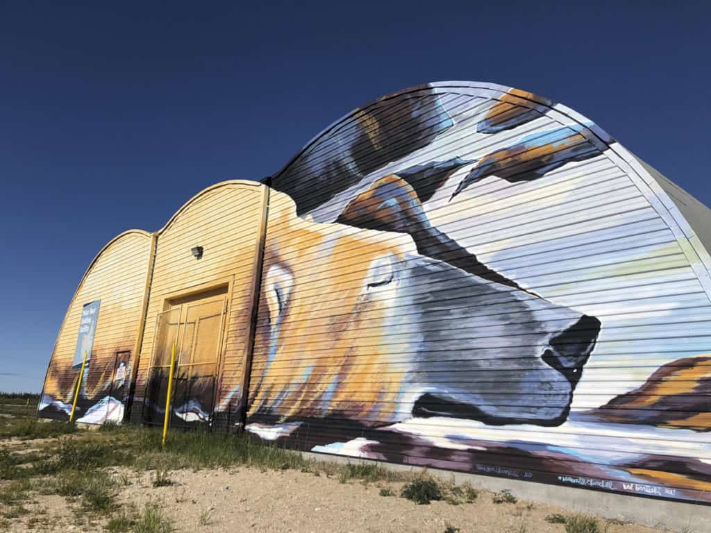 Churchill polar bear Mural