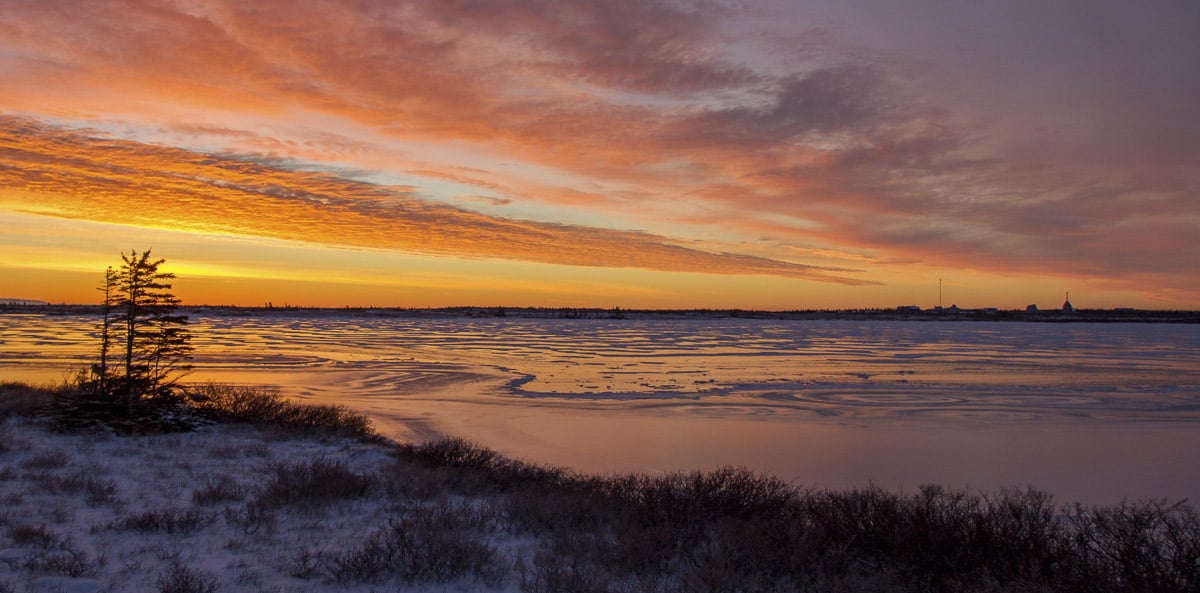 day trip to churchill from winnipeg