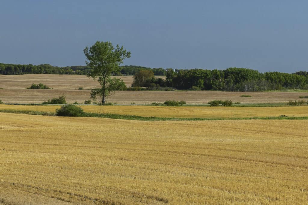 Countryside near Brandon