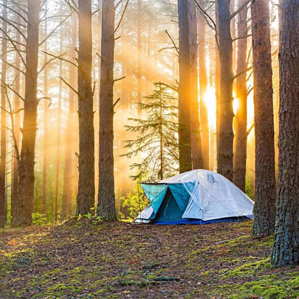 The COMPLETE Guide to Camping in Manitoba (updated for 2024)