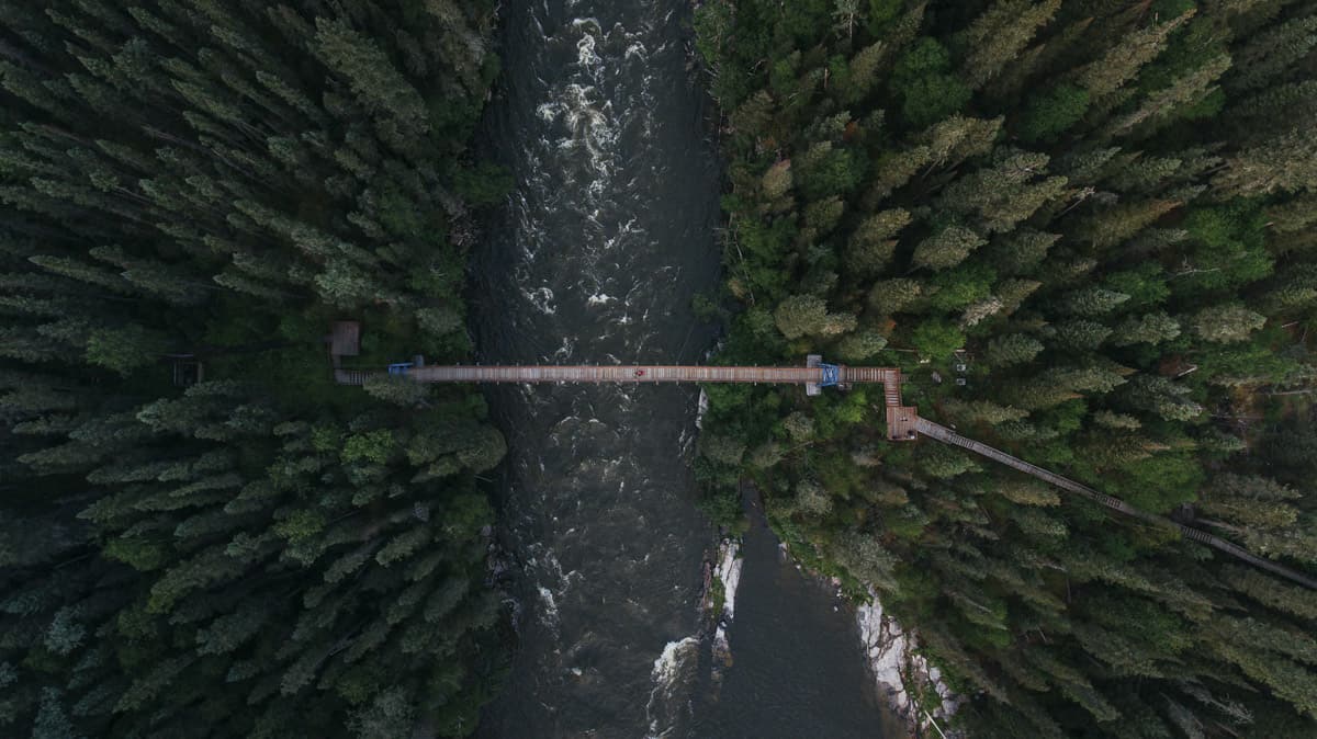 Hike to Pisew Falls