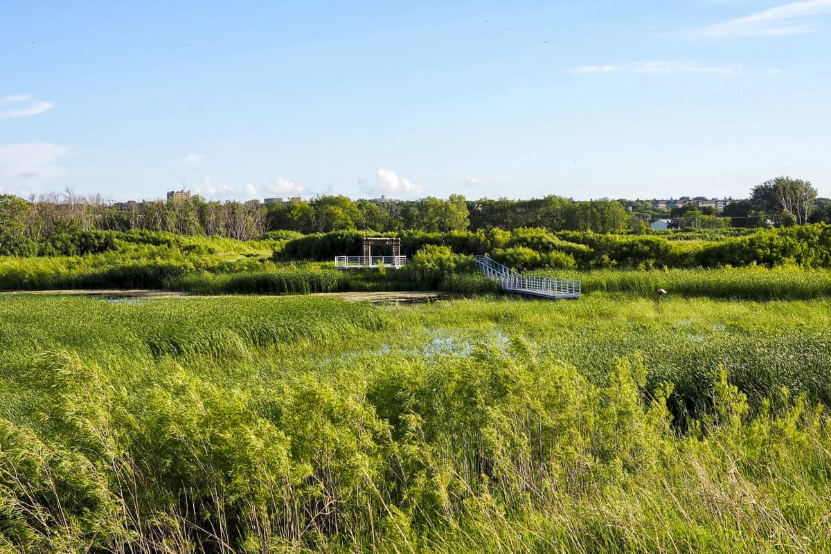 Riverbank Discovery Centre