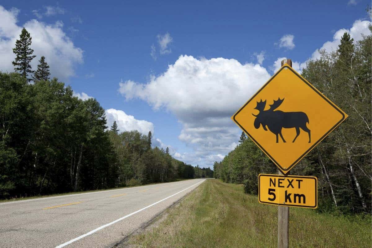 Road Sign in Riding Mountain National Park