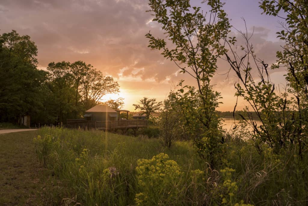 A sunset in Stephenfield Provincial Park