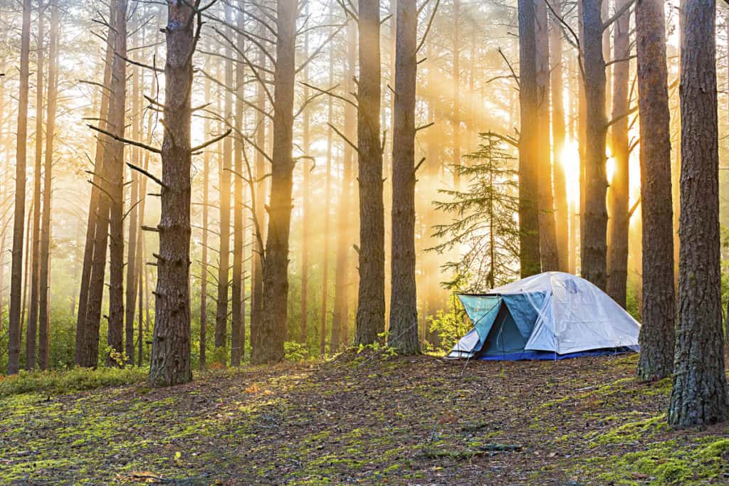 Nutimik lake clearance yurts