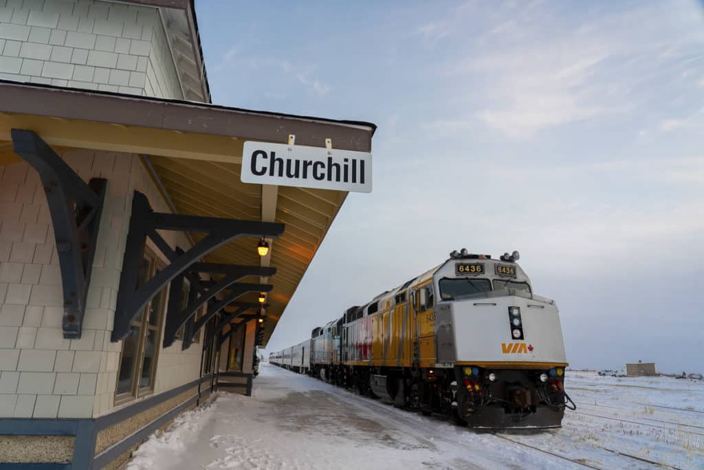 day trip to churchill from winnipeg