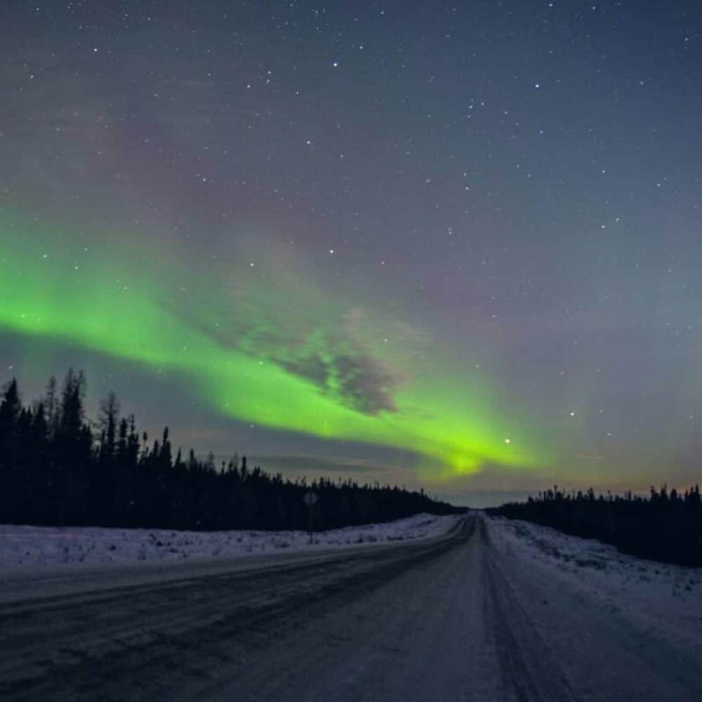 day trip to churchill from winnipeg