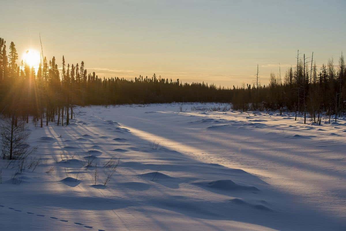 Winter at Riding Mountain National Park