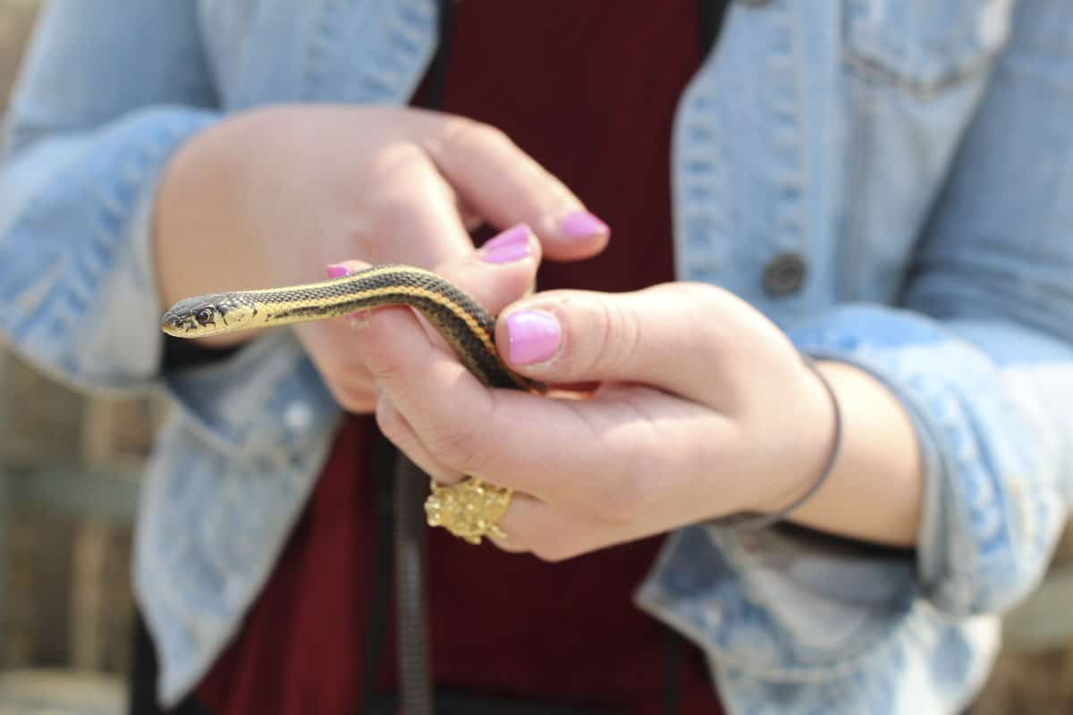 sosteniendo una serpiente