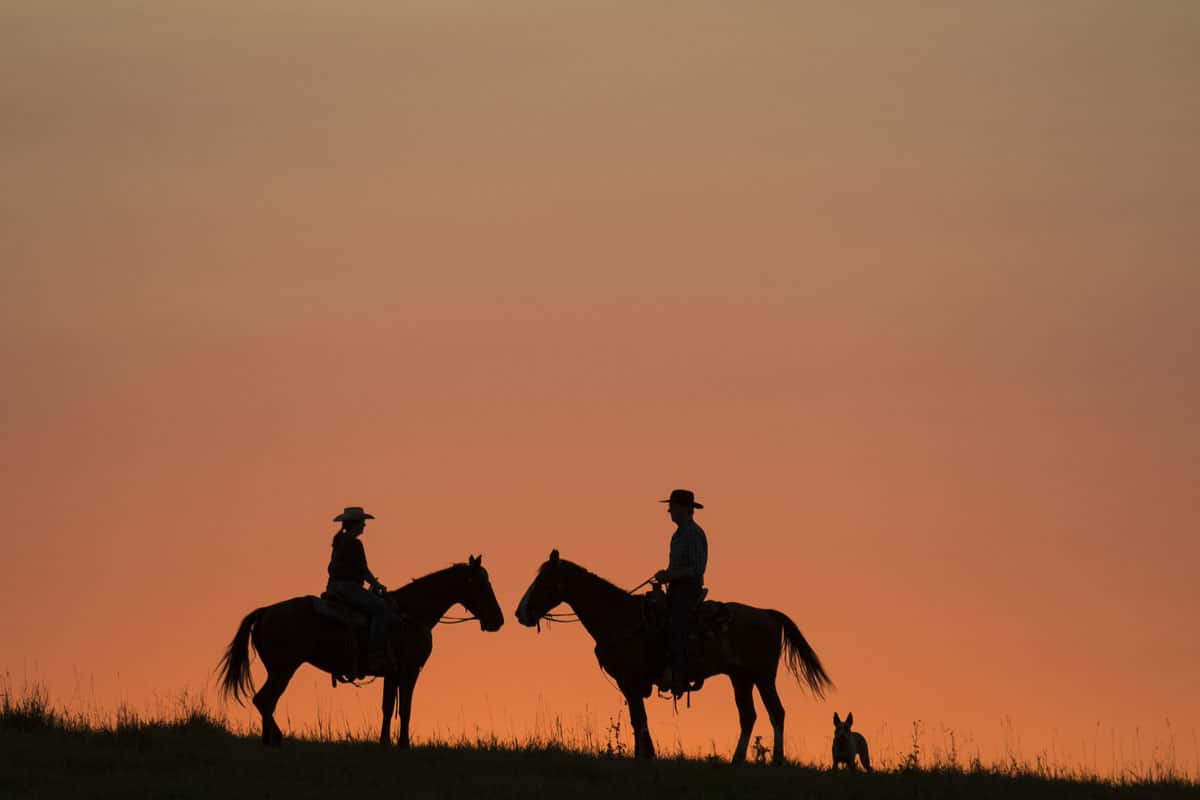 9 Finger Ranch Manitoba