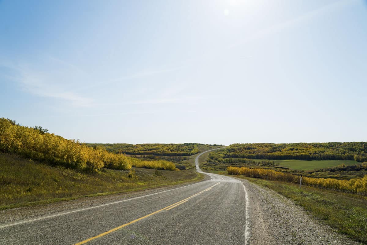A windy Manitoba Road