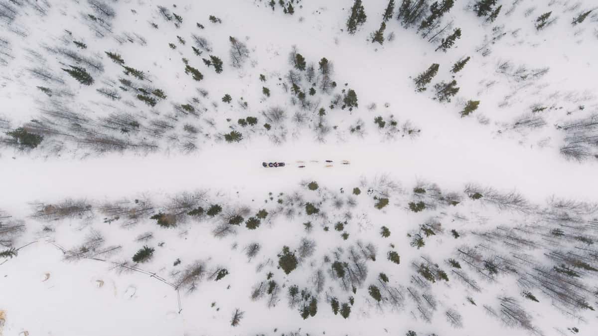 A dog sled team runs through Wapusk National Park