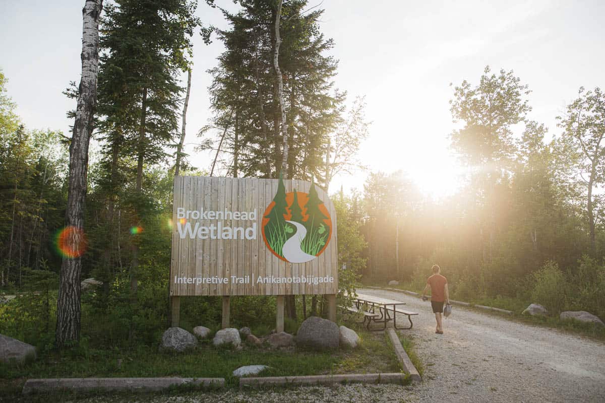 Brokenhead Wetland Interpretive Trail -  one of the Indigenous experiences in Manitoba