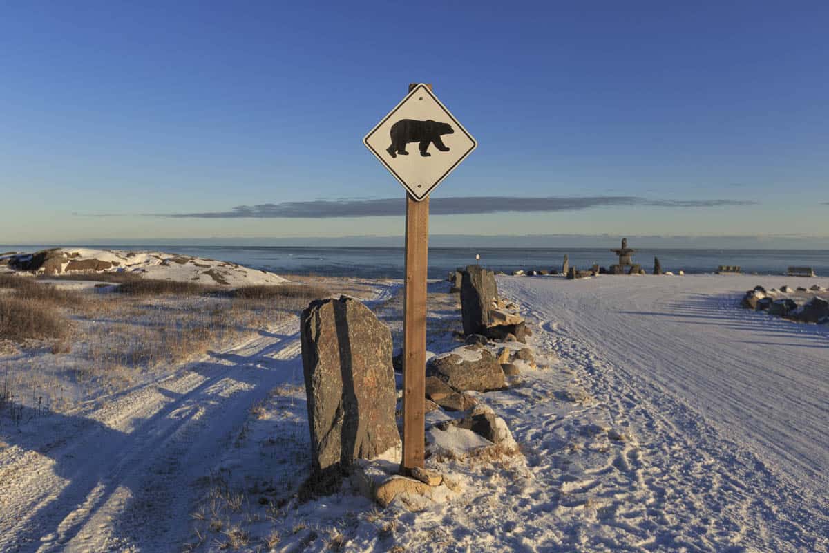 Beware of Polar Bears