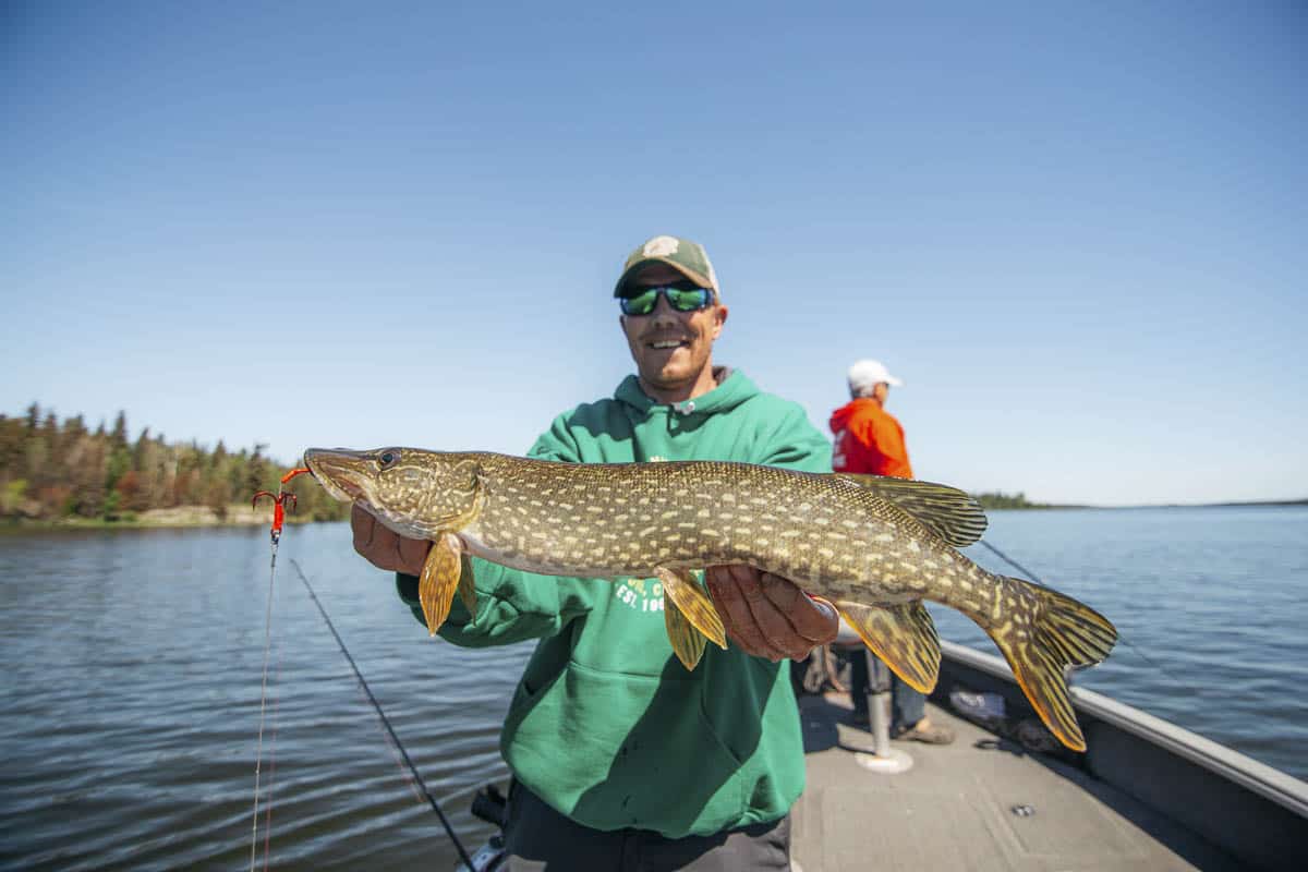 Catching fish in Manitoba