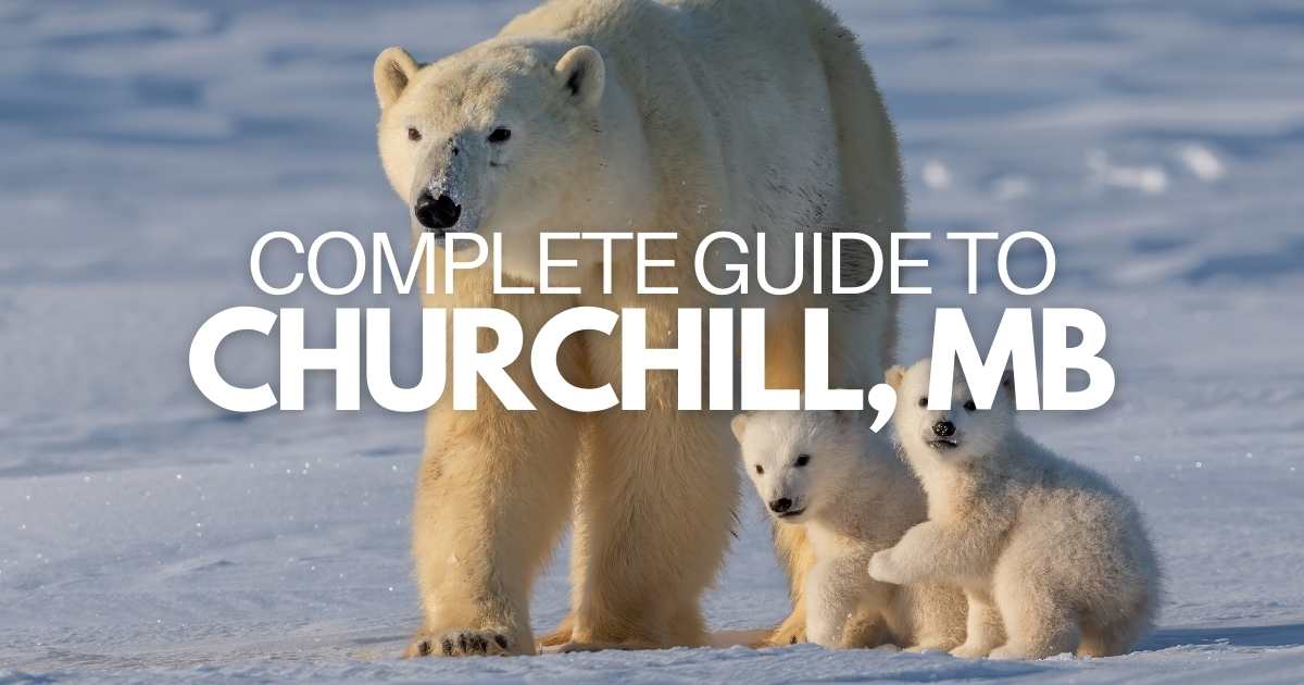 road trip to churchill manitoba