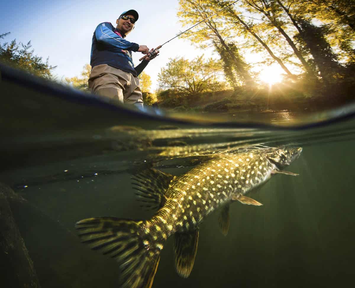 Manitoba Brook Trout - Fly Fisherman