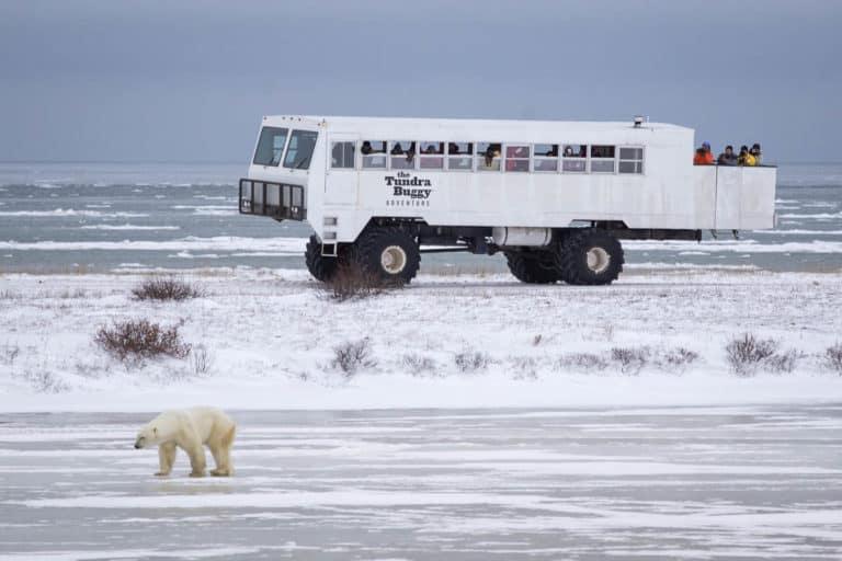 frontier tours churchill