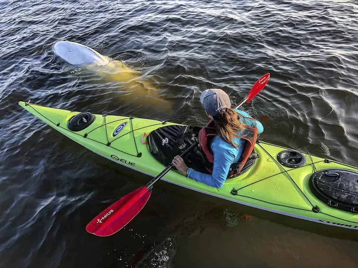 A kayak excursion in Churchill with with Sea North Tours