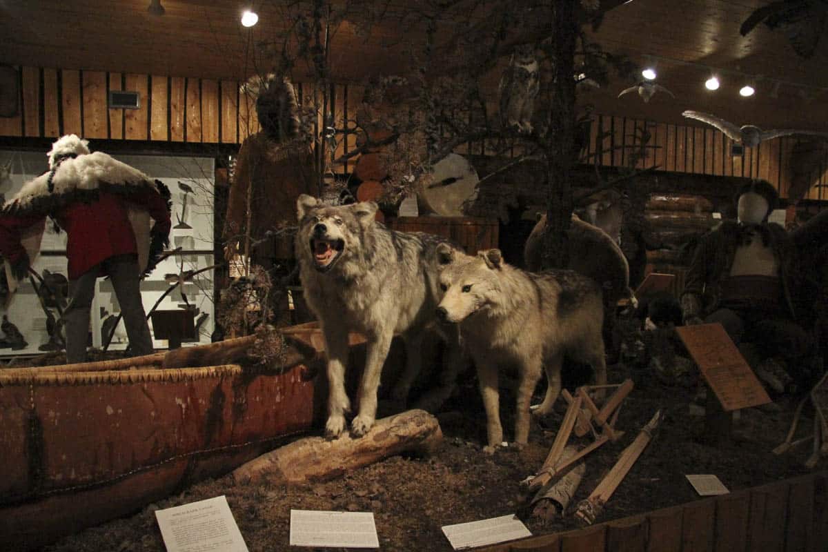 A display at the Heritage North Museum in Thompson, Manitoba
