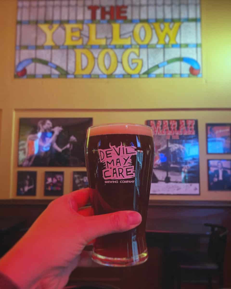 Yellow Dog Tavern