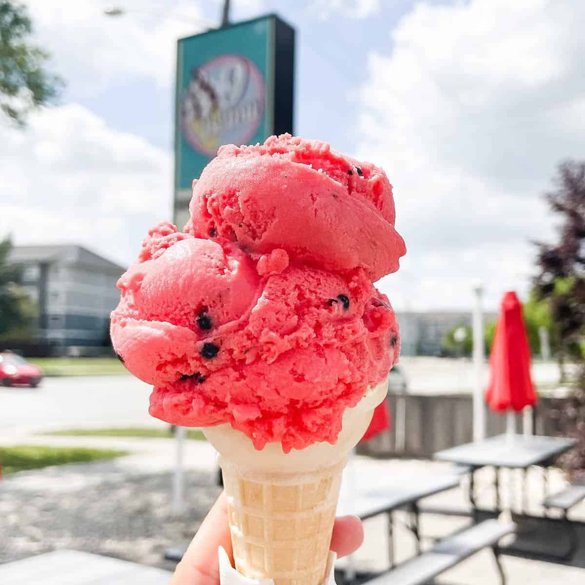 19 BEST Winnipeg Ice Cream Spots For A Tasty Treat For 2024   9 Below Ice Cream 