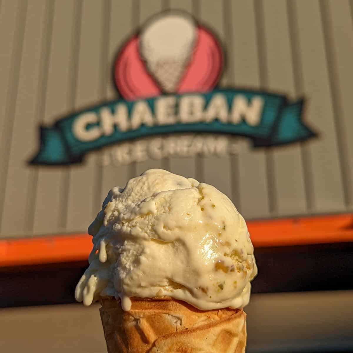 Chaeban Ice Cream makes our list for unique things to eat in Manitoba