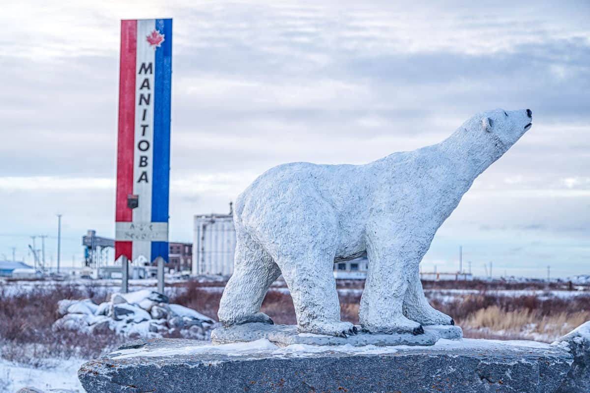 Churchill Polar Bear Statue