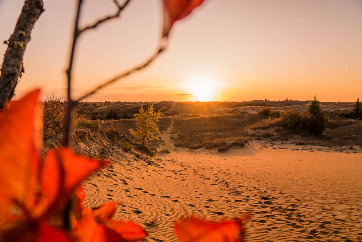 Spruce Woods Spirit Sands