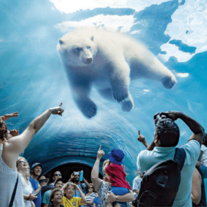 Assiniboine Zoo Feature