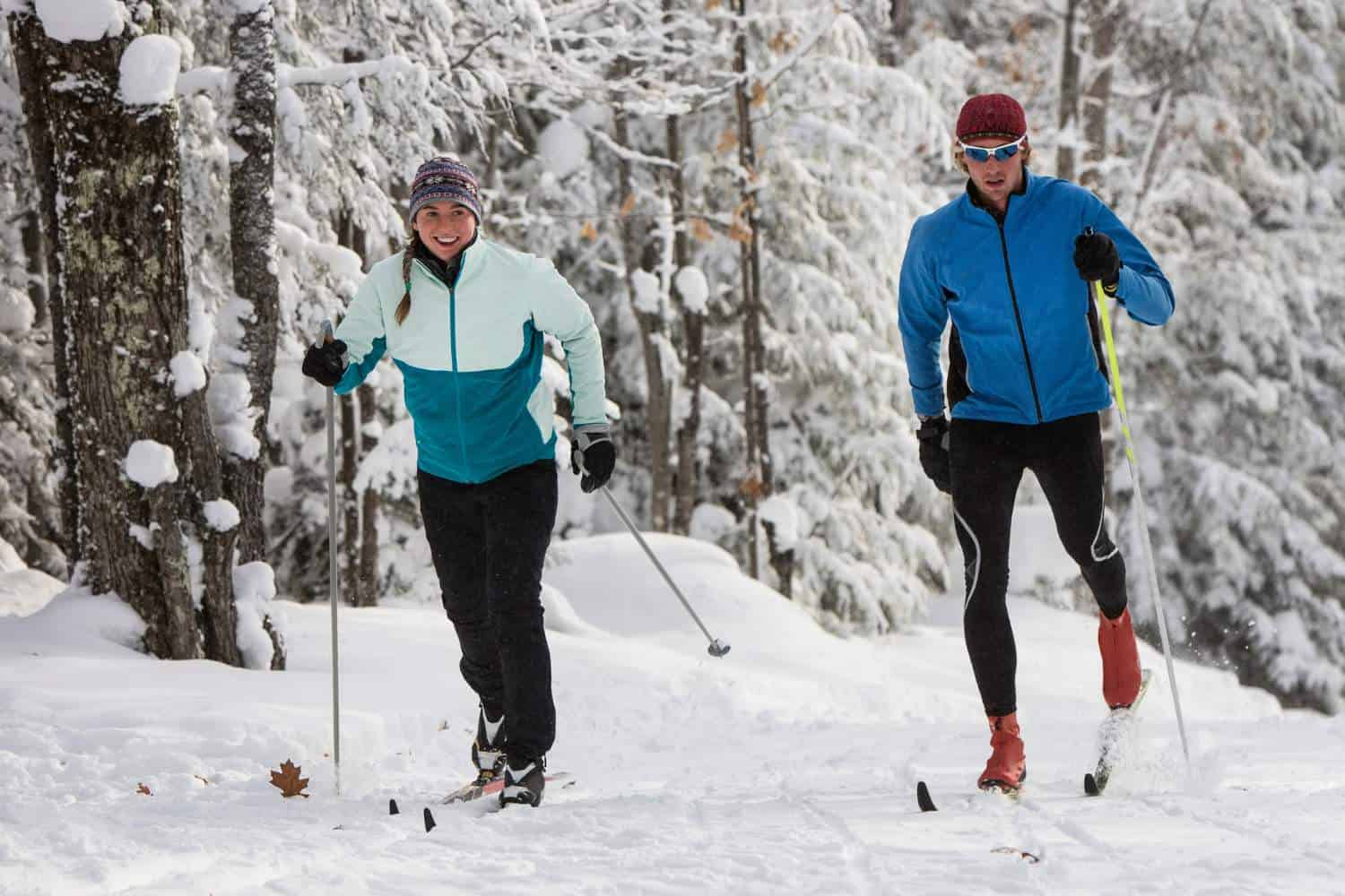 Two people, cross-country Skiing in Assiniboine Park, Winnipeg