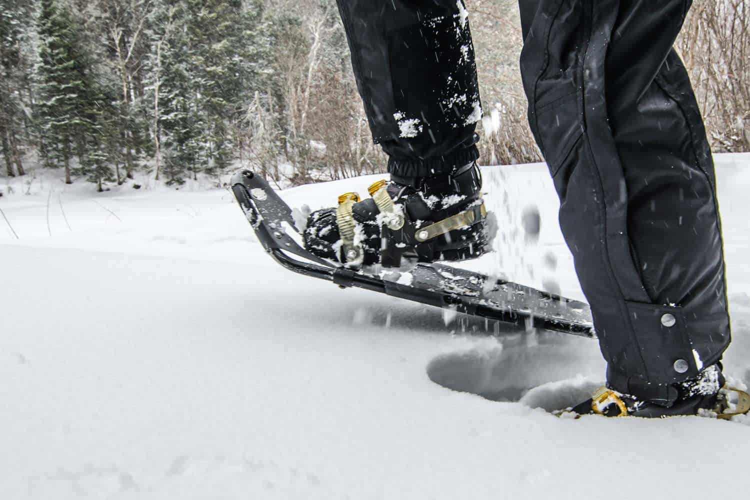 Snowshoeing in Assiniboine Park