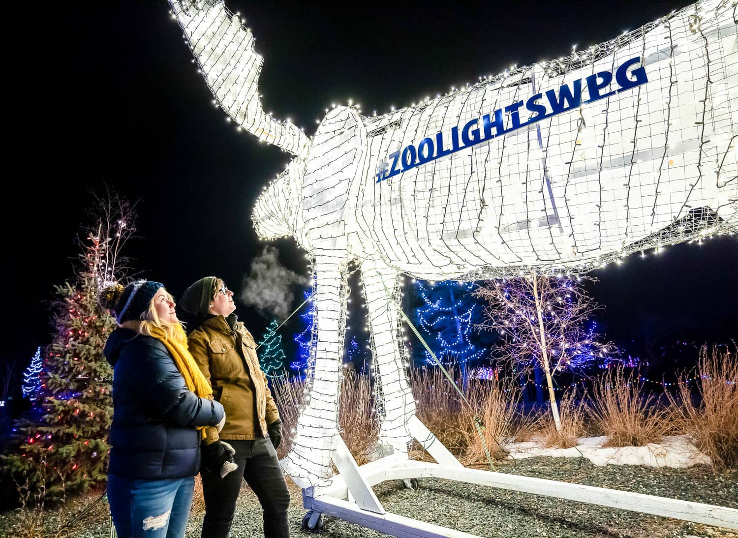 Winnipeg Zoolights