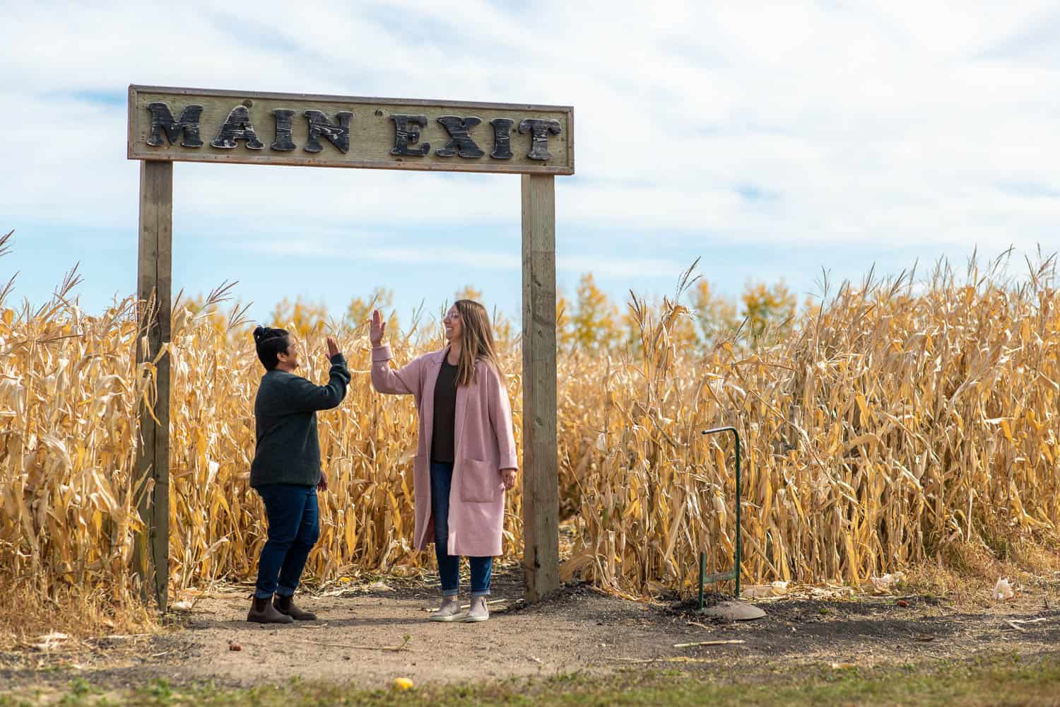 Corn Maze Exit