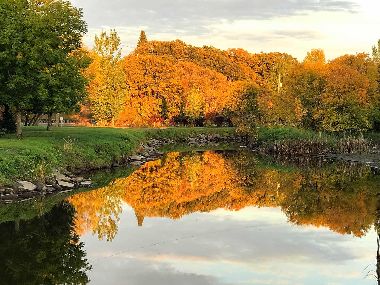 Fall in Neepawa