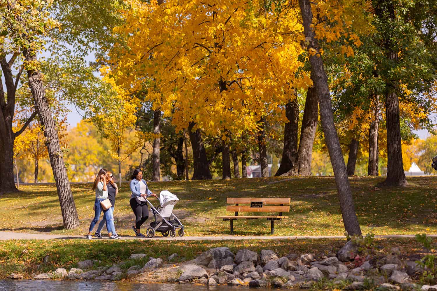 Island Park Portage la Prairie during Fall