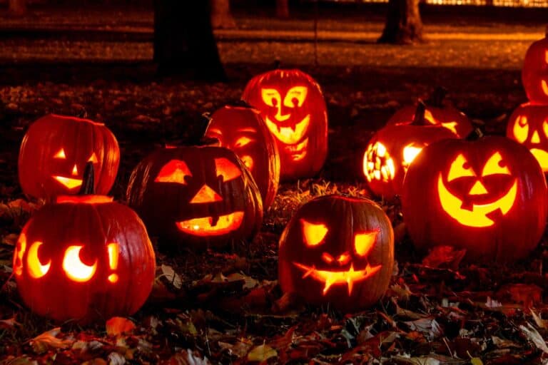 How to Celebrate Your Best Winnipeg Halloween (2024) Road Trip Manitoba