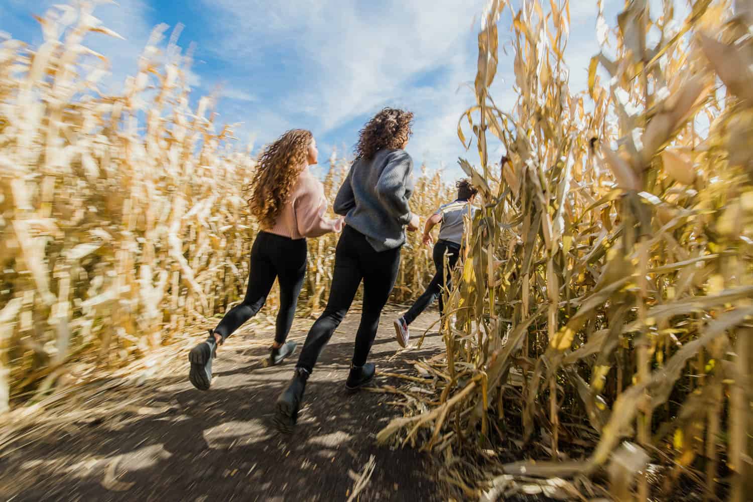 Running through a Corn Maze