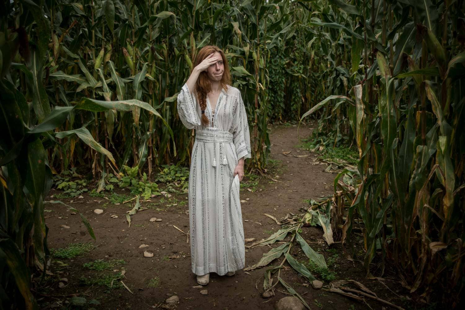 Scary corn maze